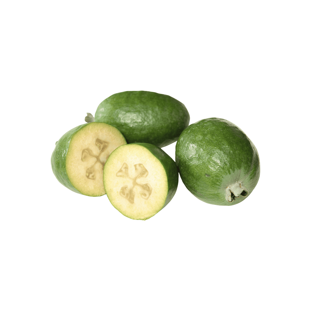 FEIJOA