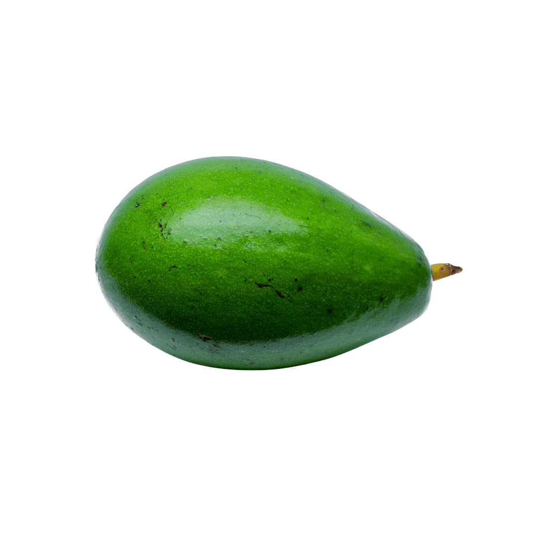 AGUACATE PAPELILLO