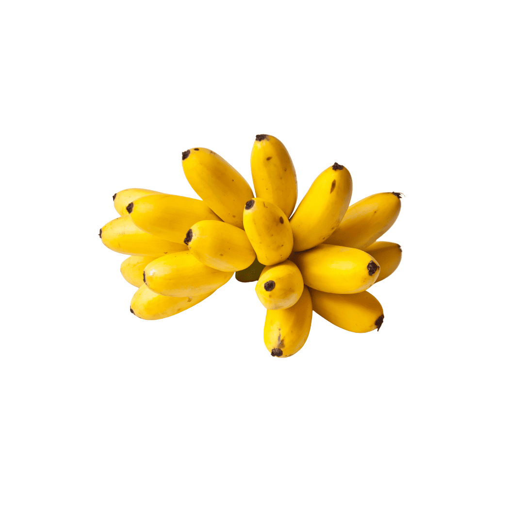 BANANO BOCADILLO
