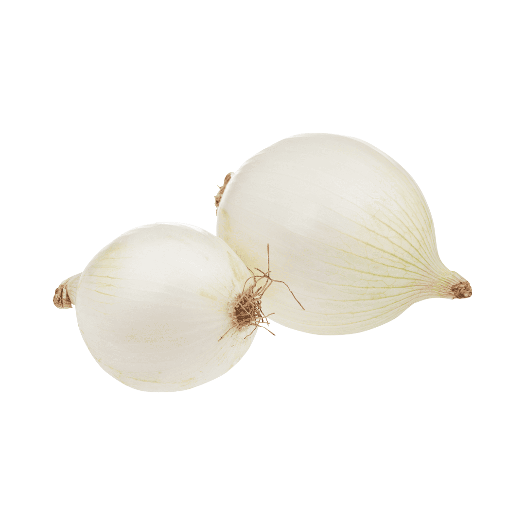 CEBOLLA BLANCA